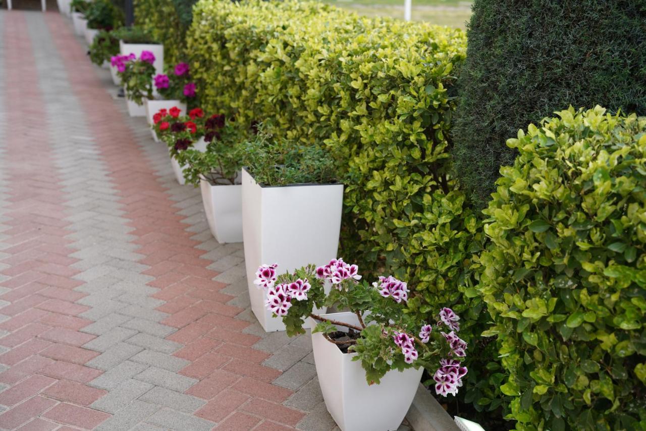 Apartments Costa Azzurra Velipoje Exterior photo